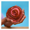 Picture of PLAYDOH SLIME BUTTER PINK/WHITE/BROWN